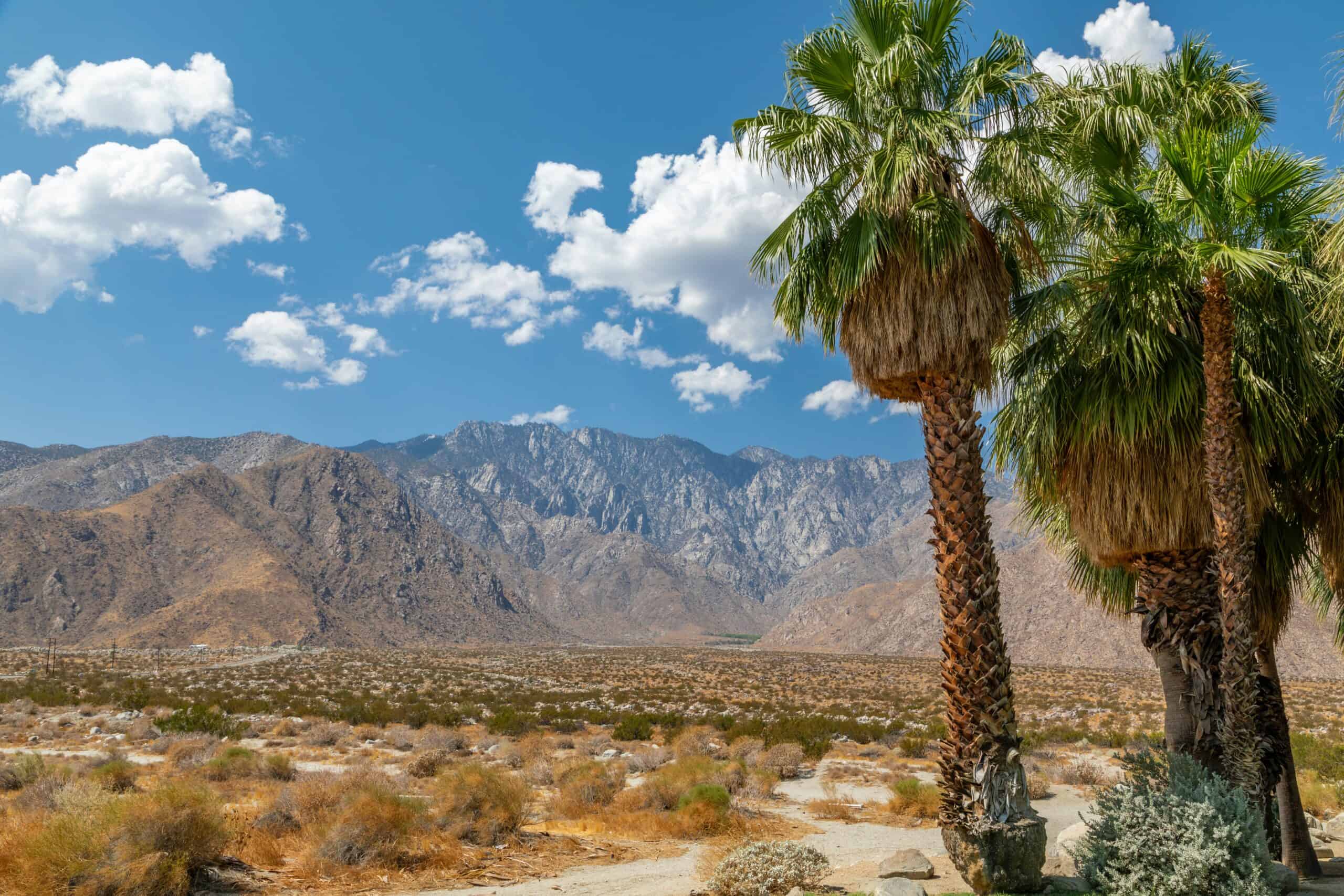 San Jacinto Mountains