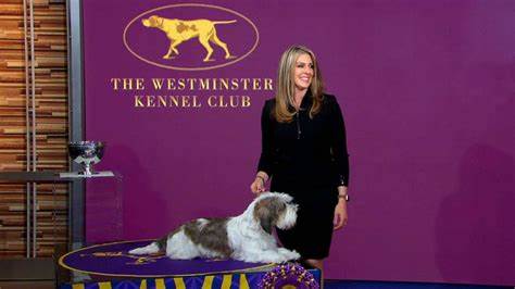 Champion Show Dog Buddy Holly Retires to Palm Springs for Well-Deserved Rest