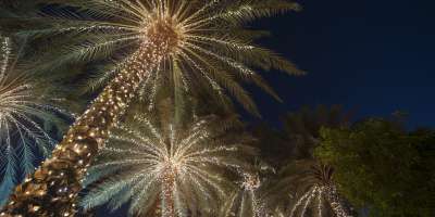 Five Events in Greater Palm Springs to Plan into Your 2024 California Trip