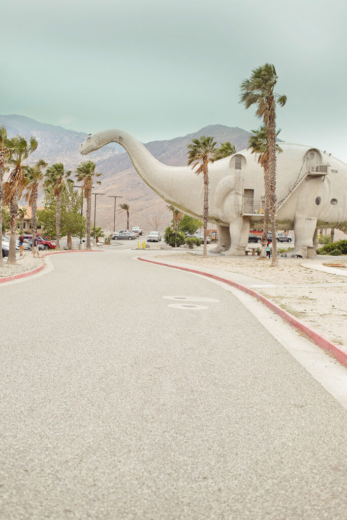 Funfilled Activities in Palm Springs