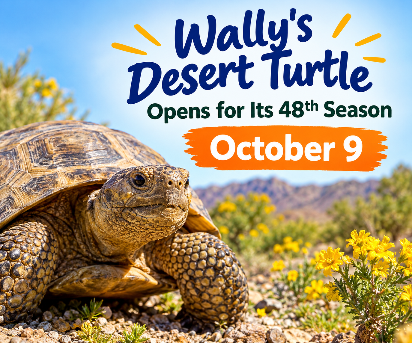 Wally’s Desert Turtle Opens for Its 48th Season October 9